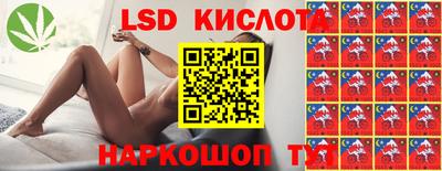 ГАЛЛЮЦИНОГЕННЫЕ ГРИБЫ Нальчик